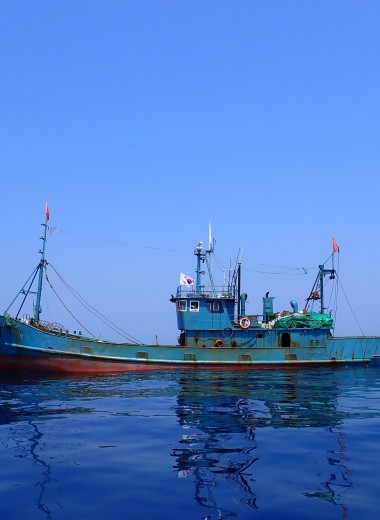 Спутники помогли уличить китайских и северокорейских рыбаков в незаконном промысле