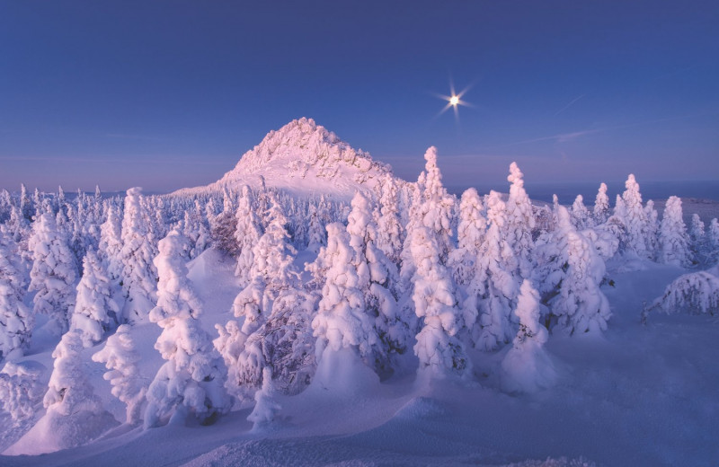 Испытать снежность: 7 причин провести зимние каникулы в Челябинской области