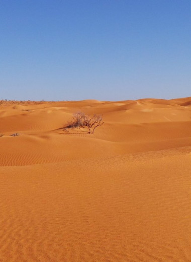 Почему Сахара — далеко не самая большая пустыня на Земле