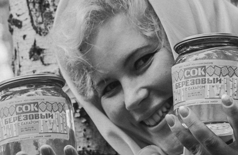 «Родина щедро поила меня»: из чего в СССР делали березовый сок