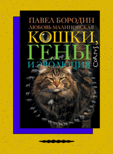 «Кошки, гены и эволюция»