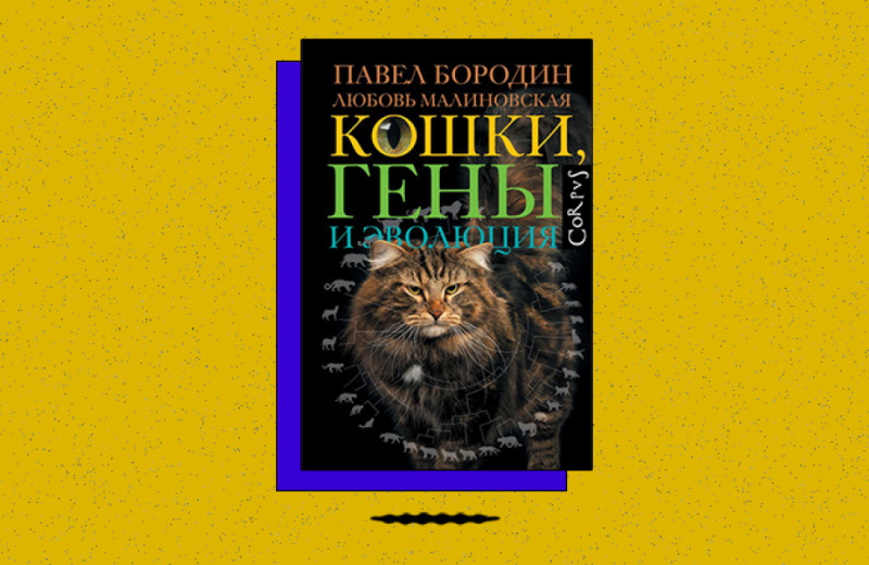 «Кошки, гены и эволюция»