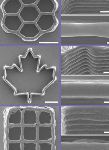Хоботок комара превратили в дешевое высокоточное сопло для 3D-биопринтера