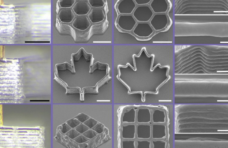 Хоботок комара превратили в дешевое высокоточное сопло для 3D-биопринтера