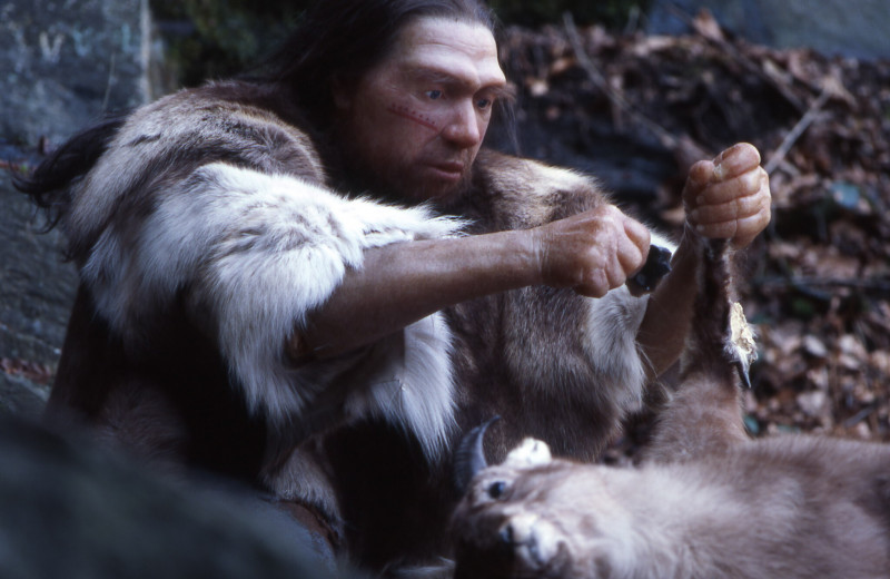Неандертальцы: приматы и художники