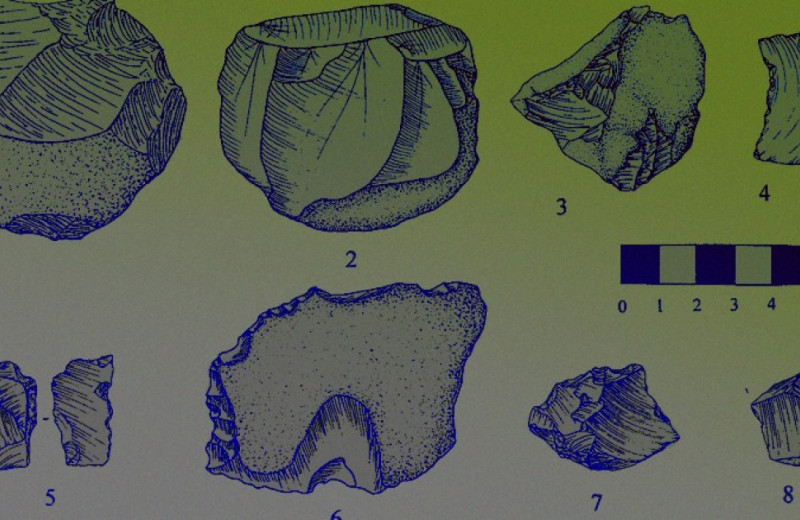 Возраст олдувайских артефактов из Алжира оценили примерно в 1,77 миллиона лет