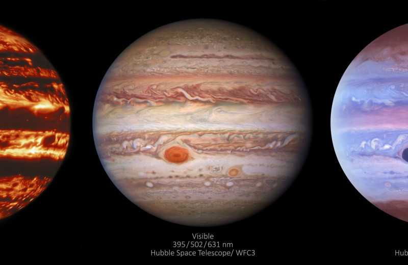 NASA показало Юпитер в трёх разных cветовых диапазонах