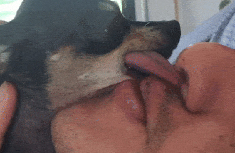 Собаки поделились своим микробиомом с подростками