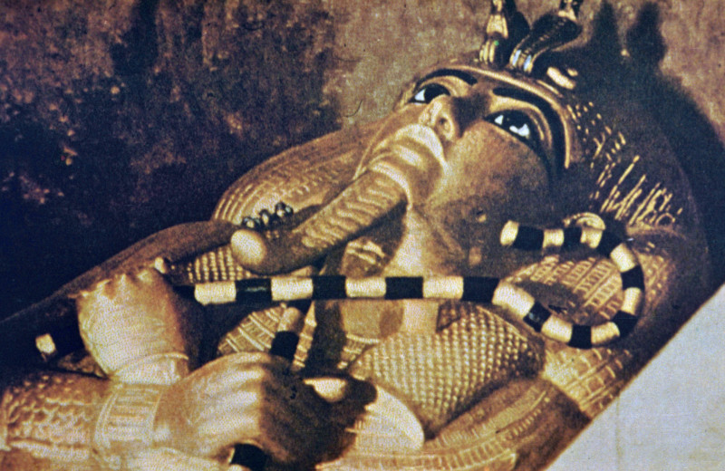 Тутанхамон придет за тобой: как появилась легенда о 