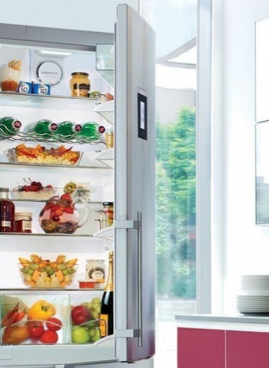 Холодильник какой фирмы лучше выбрать