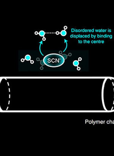 Химики разобрались во влиянии анионов на растворимость полимеров