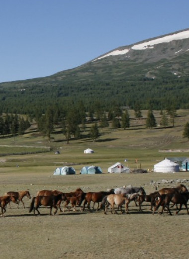 Демографический рост в Монголии бронзового века связали с молочным животноводством