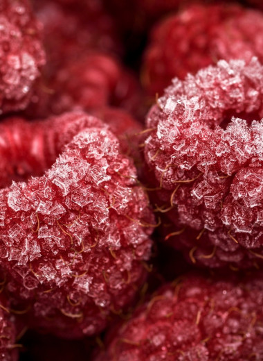 Как заморозить ягоды на зиму, чтобы они сохранили свои свойства