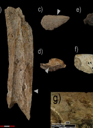 Археологи нашли охотничий лагерь испанских неандертальцев