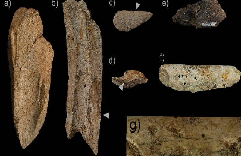Археологи нашли охотничий лагерь испанских неандертальцев