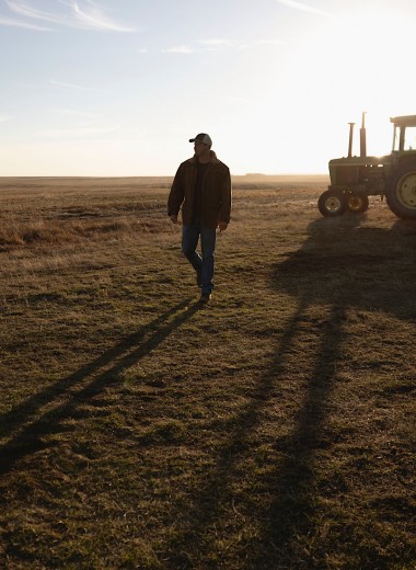 Cвиньи и тракторы вместо йоги и медитации: как фермерство превратилось в любимое хобби финансистов