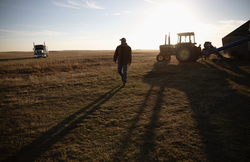 Cвиньи и тракторы вместо йоги и медитации: как фермерство превратилось в любимое хобби финансистов