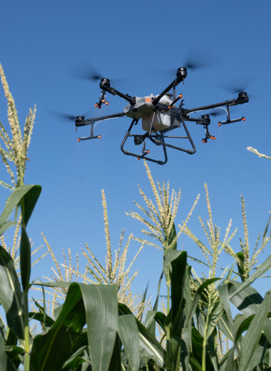 Есть ли польза от дронов в сельском хозяйстве