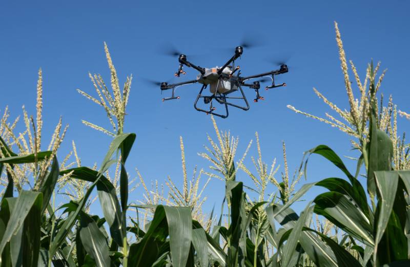 Есть ли польза от дронов в сельском хозяйстве