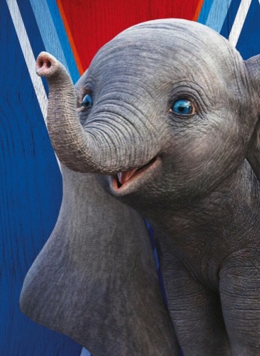 Слоны и машины: как работает современный цирк