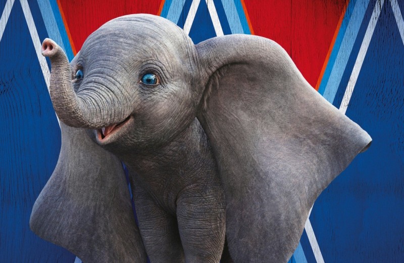 Слоны и машины: как работает современный цирк