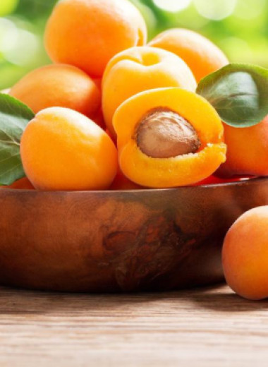 Чем полезен абрикос: 5 свойств