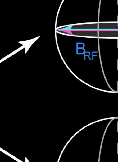 Физики уточнили изотопический сдвиг g-фактора водородоподобного неона