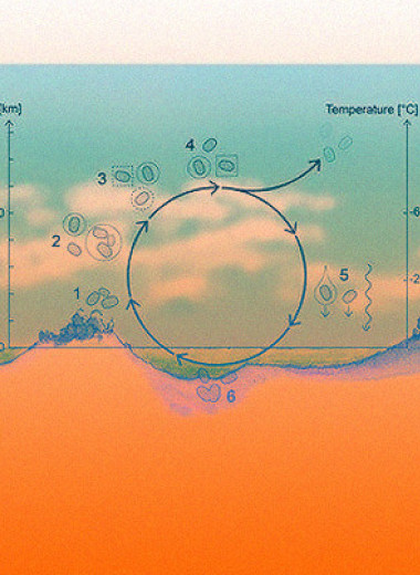 Ученые предложили сценарий существования жизни в облаках Венеры