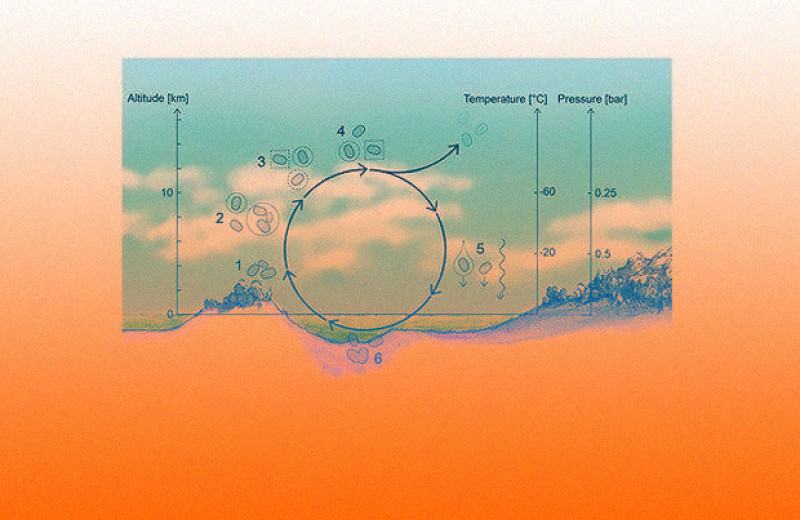 Ученые предложили сценарий существования жизни в облаках Венеры