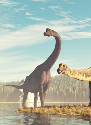У древних колоссальных динозавров была мягкая 