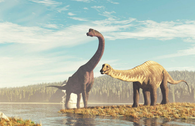 У древних колоссальных динозавров была мягкая 