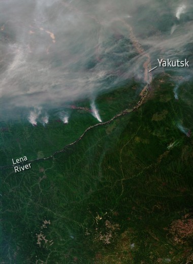 Пылающая Сибирь: почему горят леса и каков масштаб катастрофы