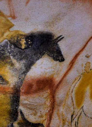 Археолог случайно открыл, как наскальные рисунки превращаются в первобытные мультики