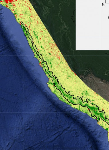 Тихоокеанский берег Перу зеленеет, но это плохая новость