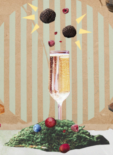 Шампанское, бароло и пино-нуар: каким вином запивать трюфели