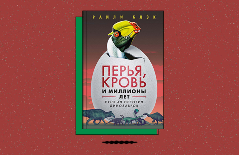 «Перья, кровь и миллионы лет: Полная история динозавров»