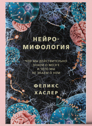 «Нейромифология»: Почему распространенное понимание мира нейронаук не соответствует действительности