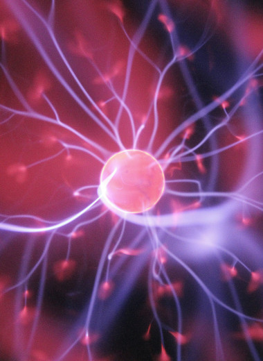 Ученые рассказали, как омолодить свой мозг