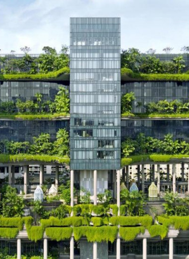 Что такое устойчивая архитектура, и почему «зеленые» здания не всегда покрыты растениями