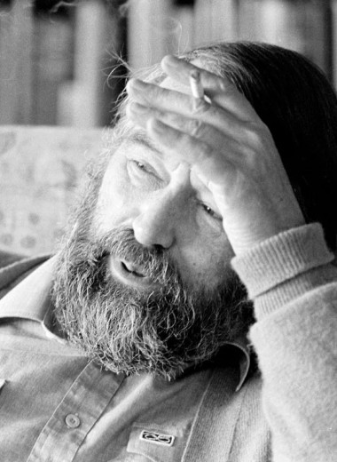 Певец изнанки