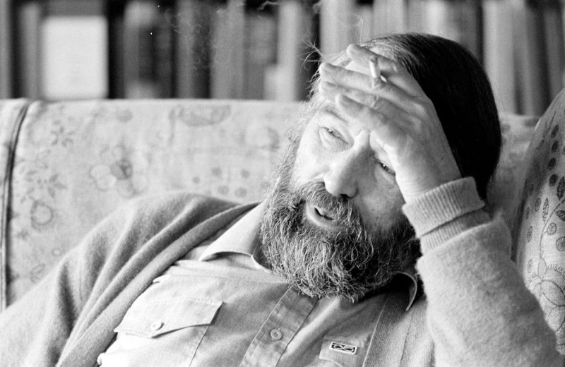 Певец изнанки