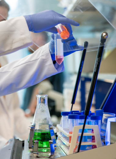 Создан назальный спрей, который замедляет старение мозга и восстанавливает память