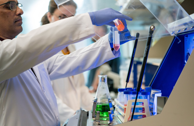 Создан назальный спрей, который замедляет старение мозга и восстанавливает память