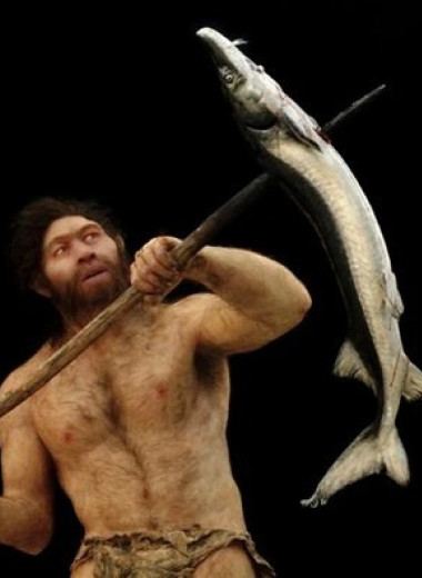 Ископаемый белок показал, что древние денисовцы и Homo erectus скрещивались друг с другом