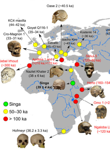 Череп из Синги назвали неожиданно поздним