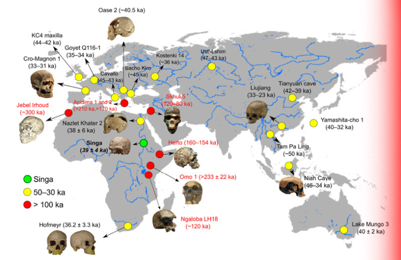 Череп из Синги назвали неожиданно поздним