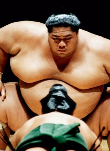 Сумо: весомая статья о японской борьбе