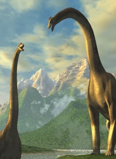 Российские ученые нашли скелет гигантского динозавра на берегу Волги