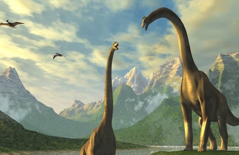 Российские ученые нашли скелет гигантского динозавра на берегу Волги