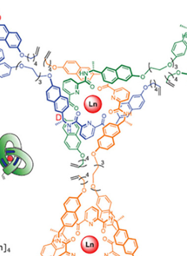 Химики получили циклический молекулярный узел с 12 перекрестьями